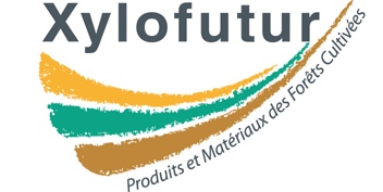 Xylofutur