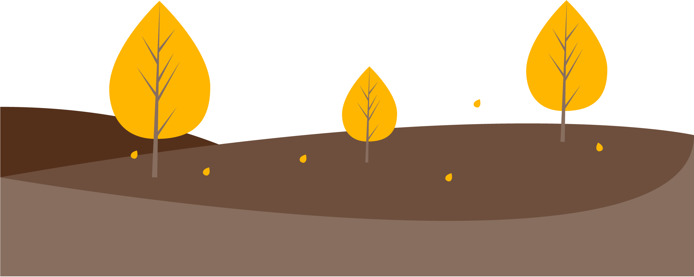 Paysage Paysage Naoden